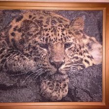 Работа «Дальневосточный леопард»