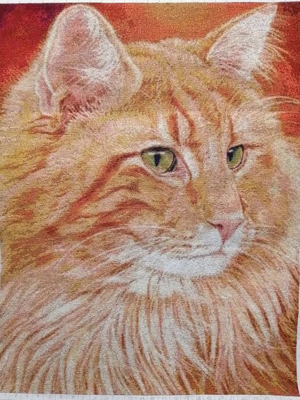 Работа «Рыжий кот»