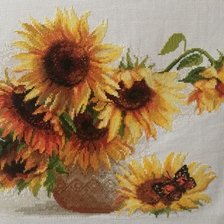 Работа «Жаркое лето»