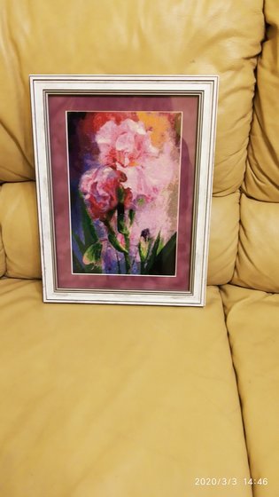 Работа «Ирис акварельный, оформила»