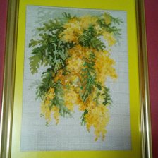 Работа «Мимоза»