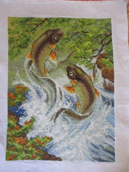 Работа «Карпы.»