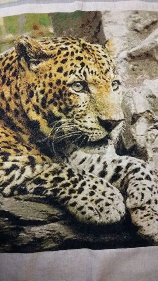 Работа «Гепард»