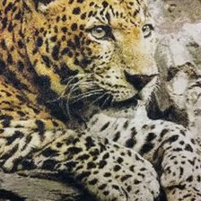 Работа «Гепард»