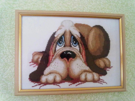 Работа «Бассет-хаунд (Собака подруги Бася)»