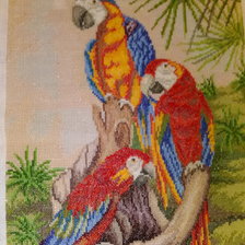 Работа «Три попугая»