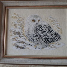 Работа «Сова»