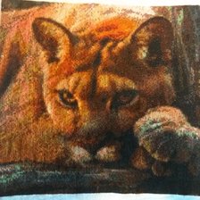 Работа «Пума»