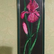 Работа «Ирис»