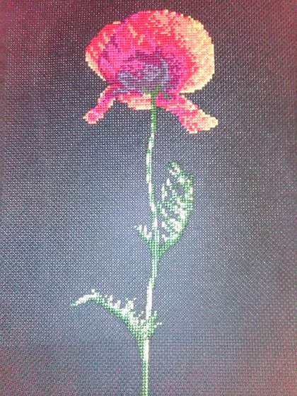 Работа «Мак»