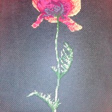 Работа «Мак»