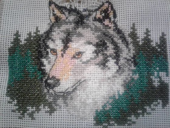 Работа «Волк»