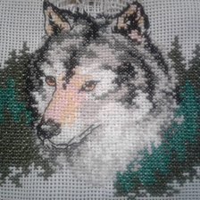 Работа «Волк»