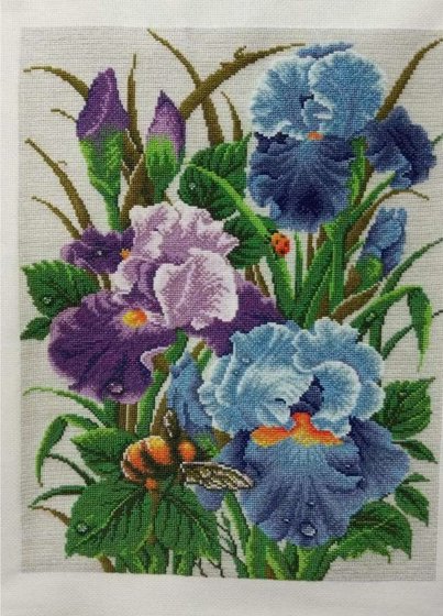 Работа «ИРИСЫ»