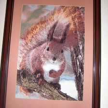 Работа «Белка»