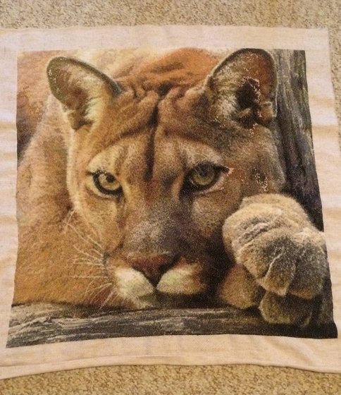 Работа «Пума»