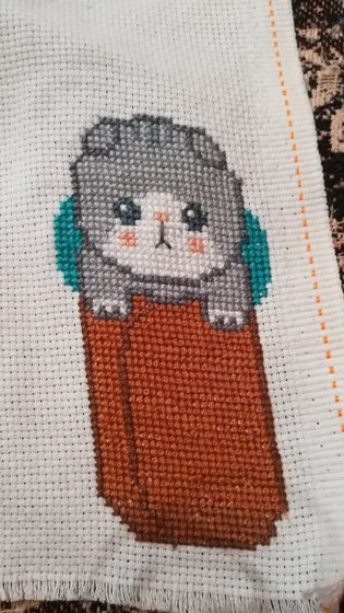 Работа «Котик в лаваше»