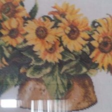 Работа «girasoli»