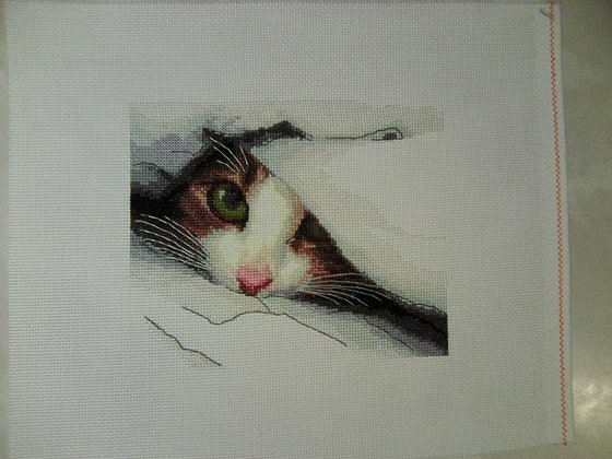 Работа «Спрятался»