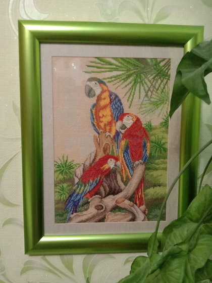 Работа «Три попугая»