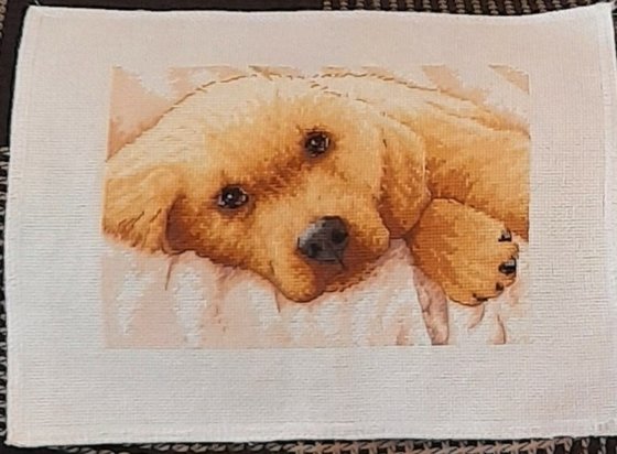 Работа «Золотой щенок по набору"Dimensions"»