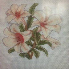 Работа «Лилии»