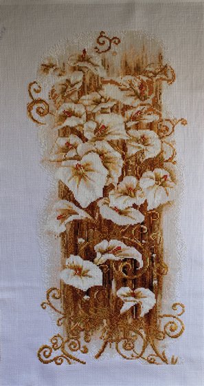 Работа «,,Коаллы,,»