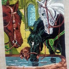 Работа «Cai la sursa de apa»