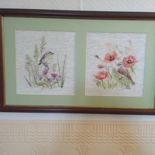 Работа «Луговой чекан и Ремез»