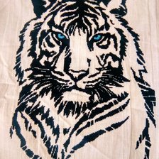 Работа «Тигр v2.0»