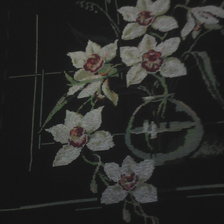 Работа «orquideas»