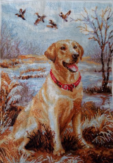 Работа «,,Лабрадор".(Вышивка крестиком).»