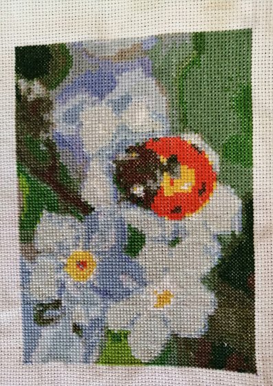 Работа «Божья коровка»