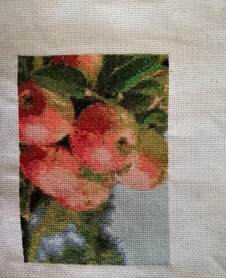 Работа «Яблочки»