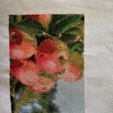 Работа «Яблочки»