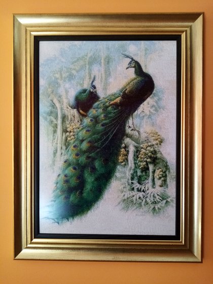 Работа «pawie zimowe»