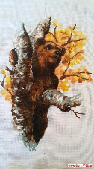 Работа «РИОЛИС»