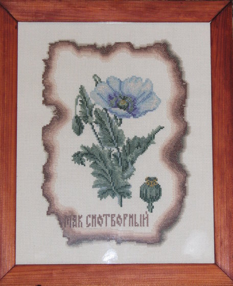 Работа «Мак снотворный»