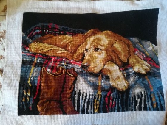 Работа «Собака на пледе»