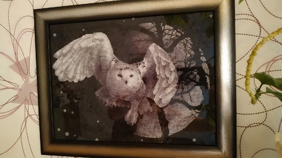 Работа «Сова в ночи)»