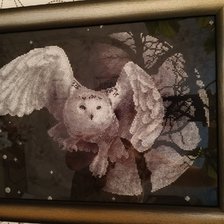 Работа «Сова в ночи)»