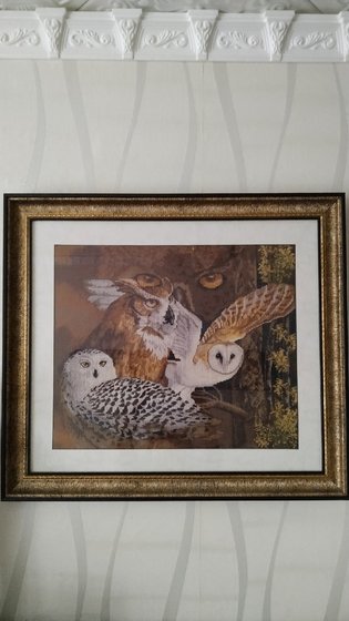 Работа «Совиный взгляд 2016-2017гг»