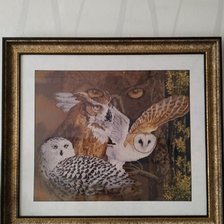 Работа «Совиный взгляд 2016-2017гг»