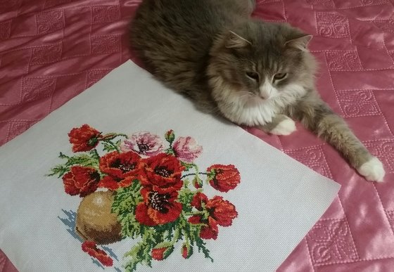 Работа «"Маки"»