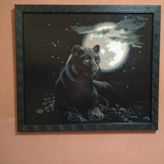 Работа «Пантера»