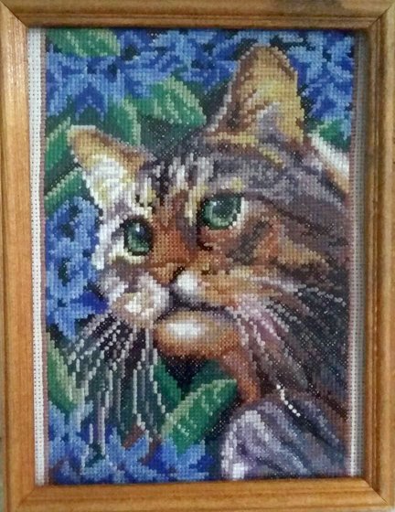 Работа «кот»