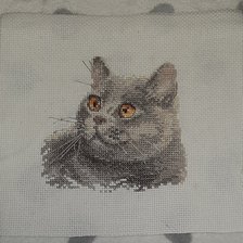 Работа «Фирма Алиса "Британский кот"»