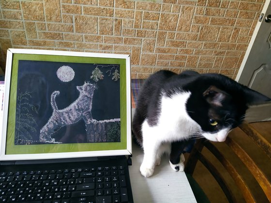 Работа «Луна и Макс. А также Ефим.»