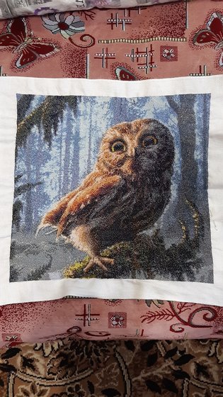 Работа «Сова»