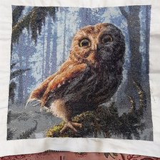 Работа «Сова»